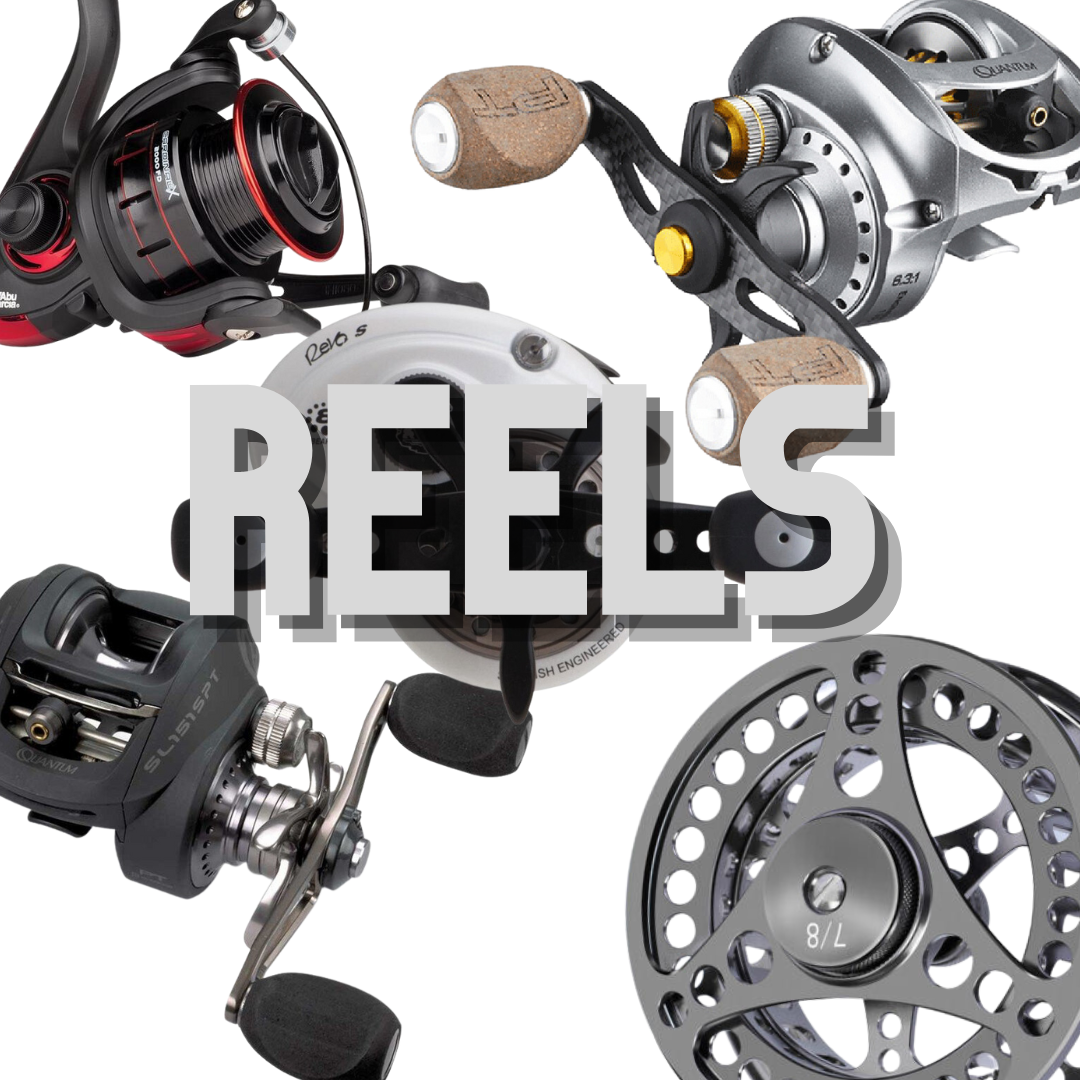 Reels – Fat Catch