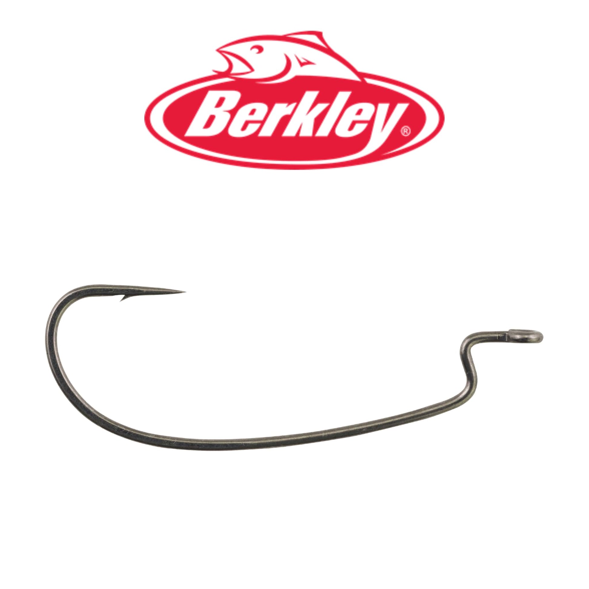 Berkley Fusion 19 Hooks - Offset Worm – Fat Catch