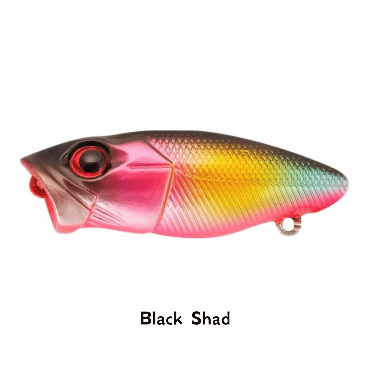 Rapture Chibi POP Black Shad 37 mm 3.7g Fishing Lure Popper Top Water Bait LRF Ultra Light Fishing