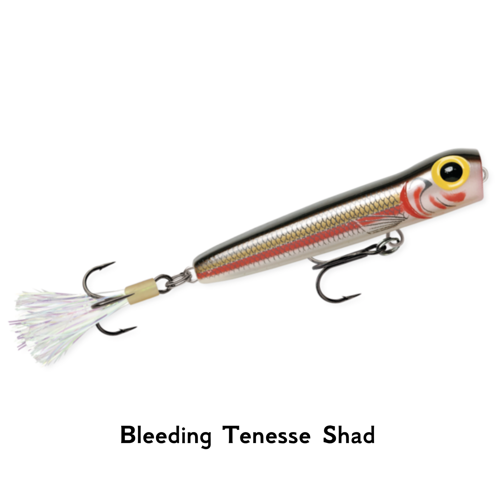 Storm Rattlin Chug Bug Bleeding Tennessee Shad  Popper Surface Fishing Lure Pike Bass Perch