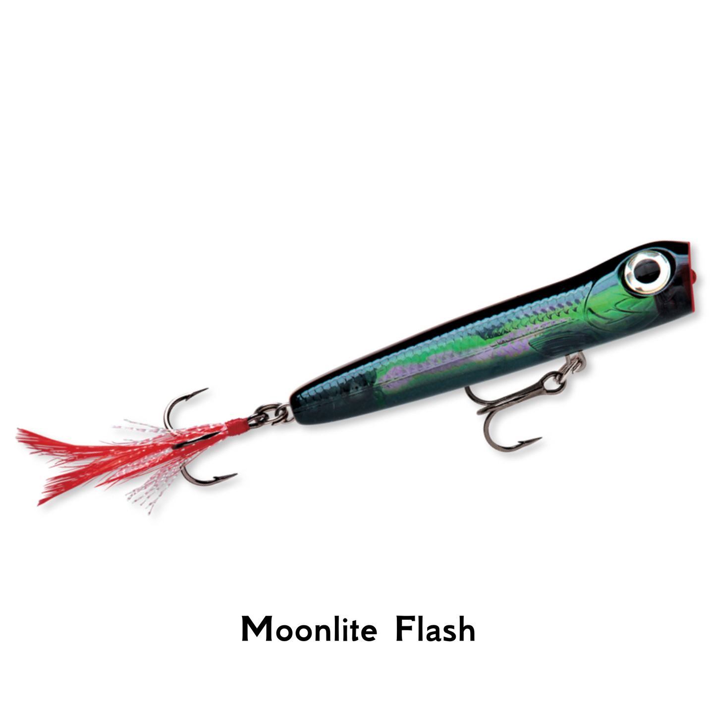 Storm Rattlin Chug Bug Moonlite Flash Popper Surface Fishing Lure Pike Bass Perch