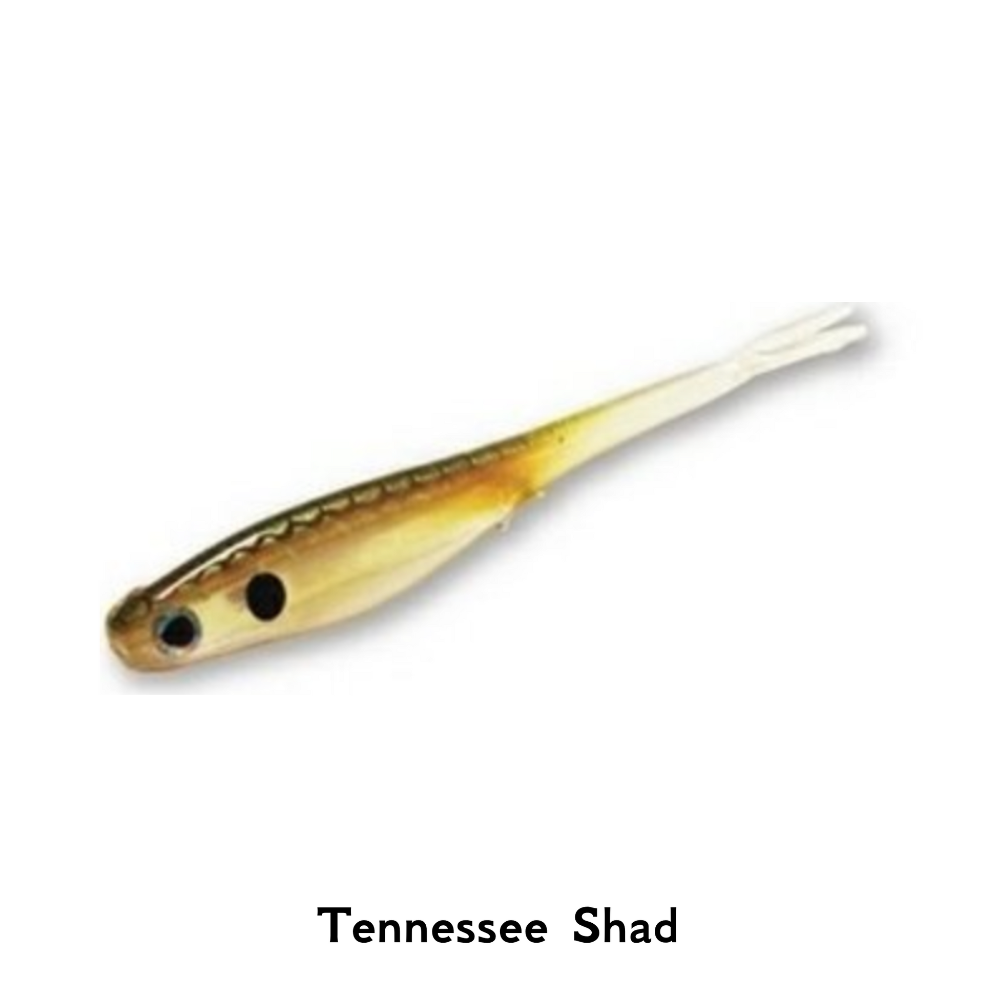 Berkley PowerBait Hollow Belly Split Tail Shad Tennessee Shad Fishing Lure