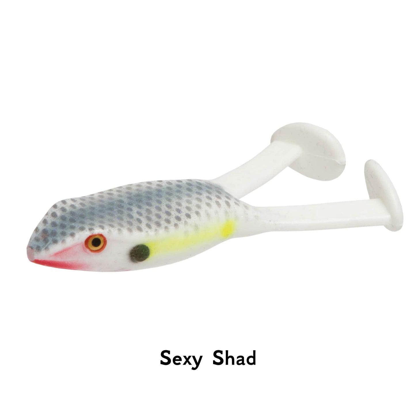 Zoom Bait Frog 4 Inch Sexy Shad Paddle Tail Softbait Fishing Lure Pike Weedless Jighead EWG Hook